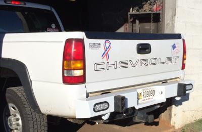 Chevrolet & GMC Silverado & Sierra Pickups 1999 - 2006 Rear Bumper